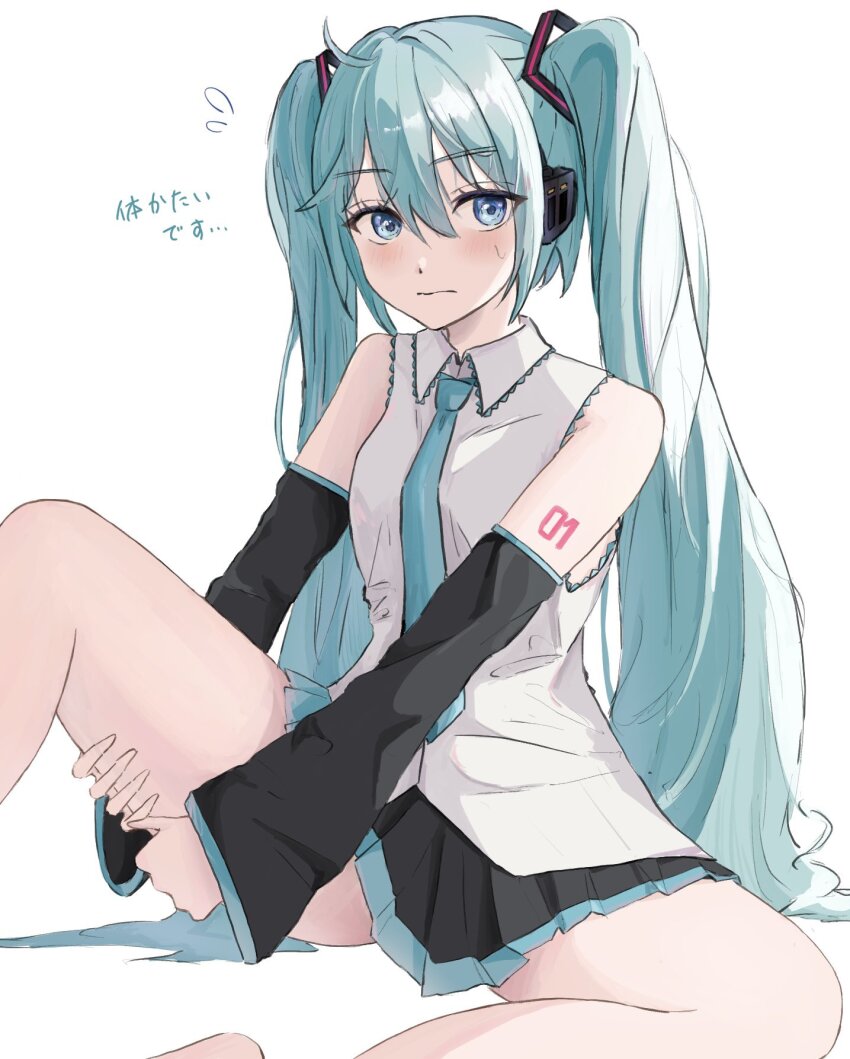 Hatsune Miku (Vocaloid) Rule 34 Image