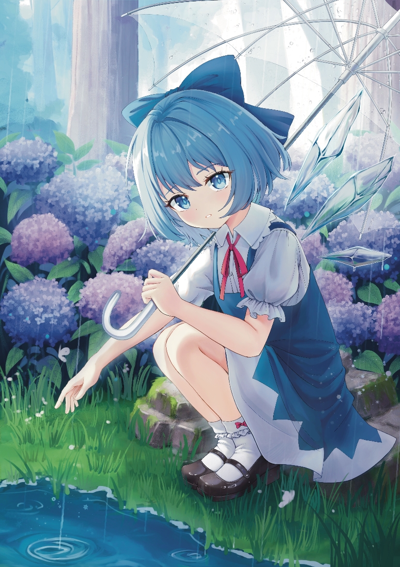 Cirno (Touhou) Rule 34 Image