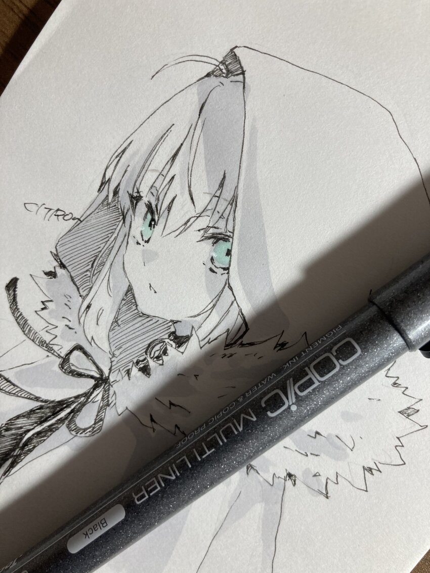 Gray (Fate) Rule 34 Image