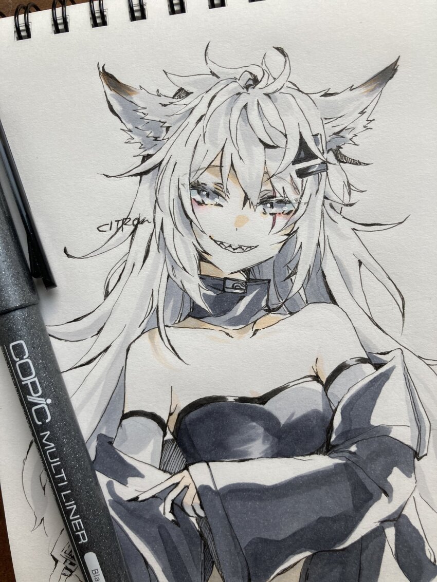 Lappland (Arknights) Rule 34 Image