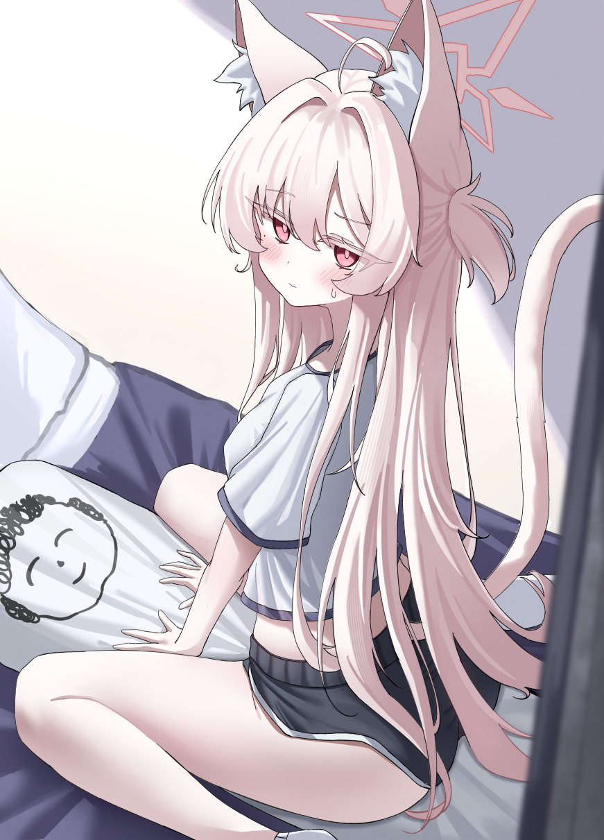 Akira (Blue Archive) Rule 34 Image