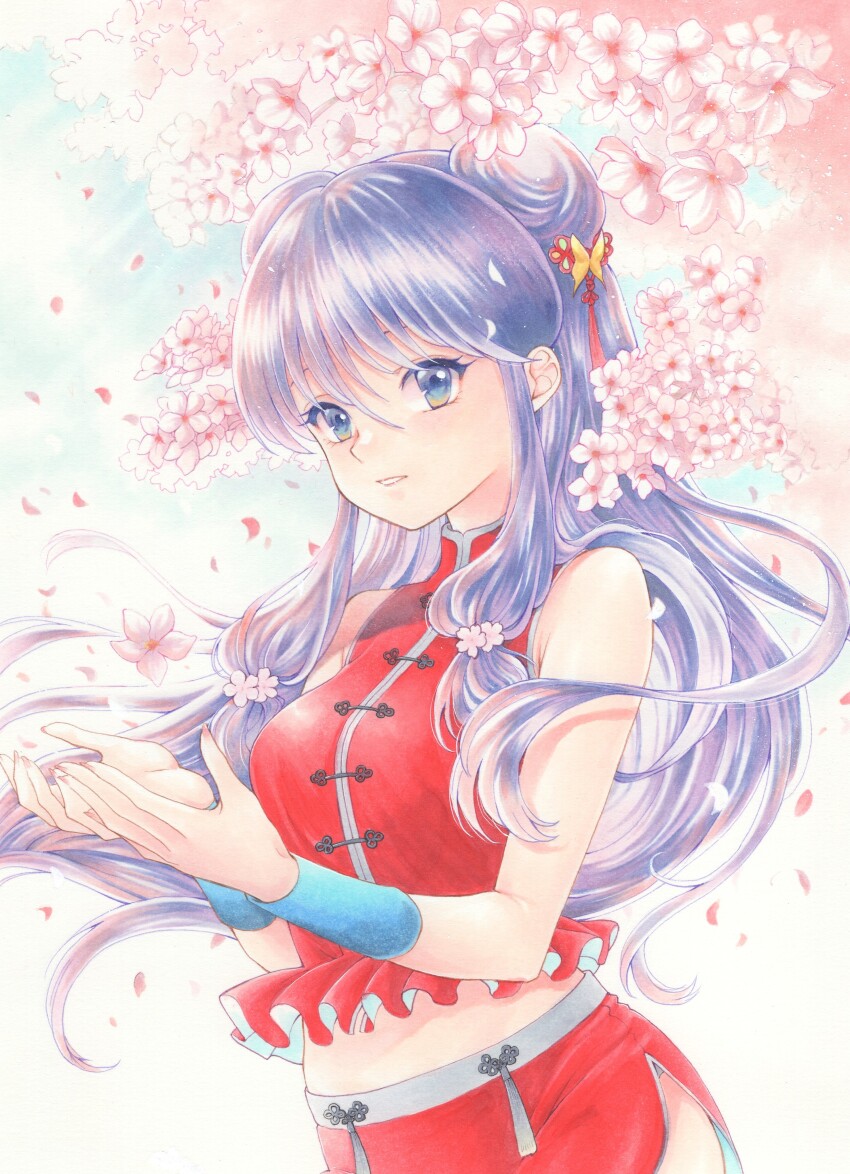 Shampoo (Ranma 1/2) Rule 34 Image