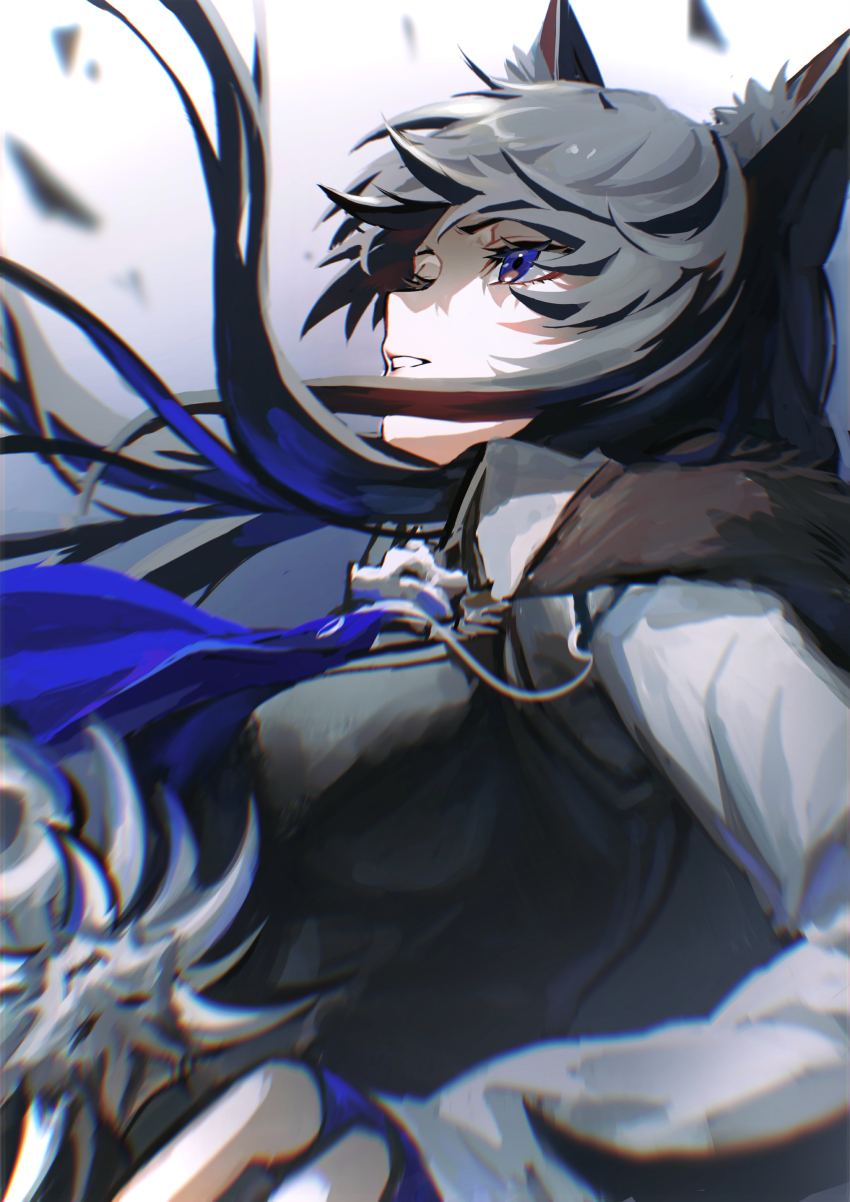 Texas (Arknights) Rule 34 Image