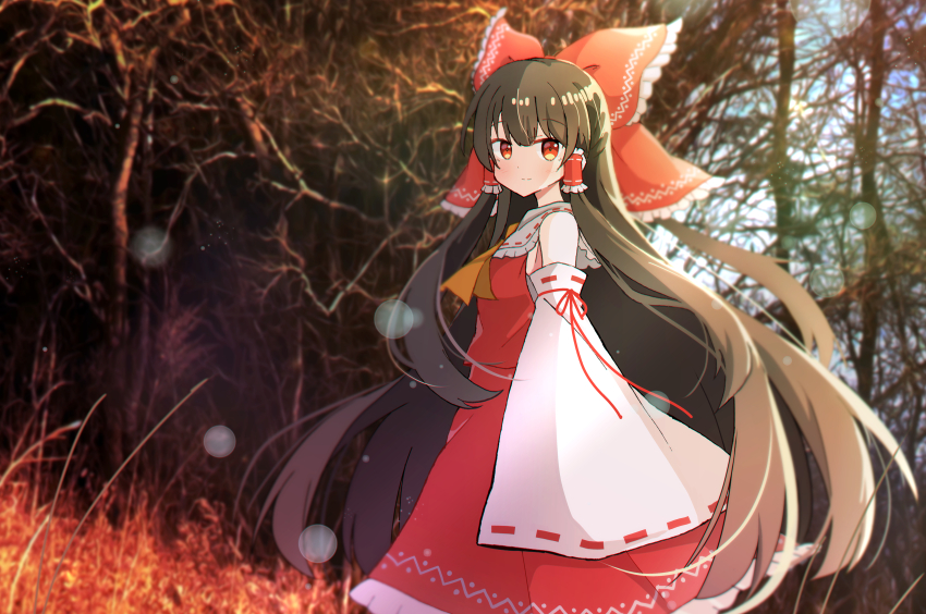 Hakurei Reimu (Touhou) Rule 34 Image