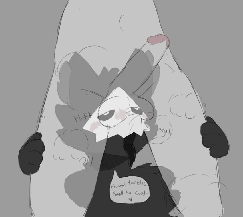 Lin (Changed) Rule 34 Image