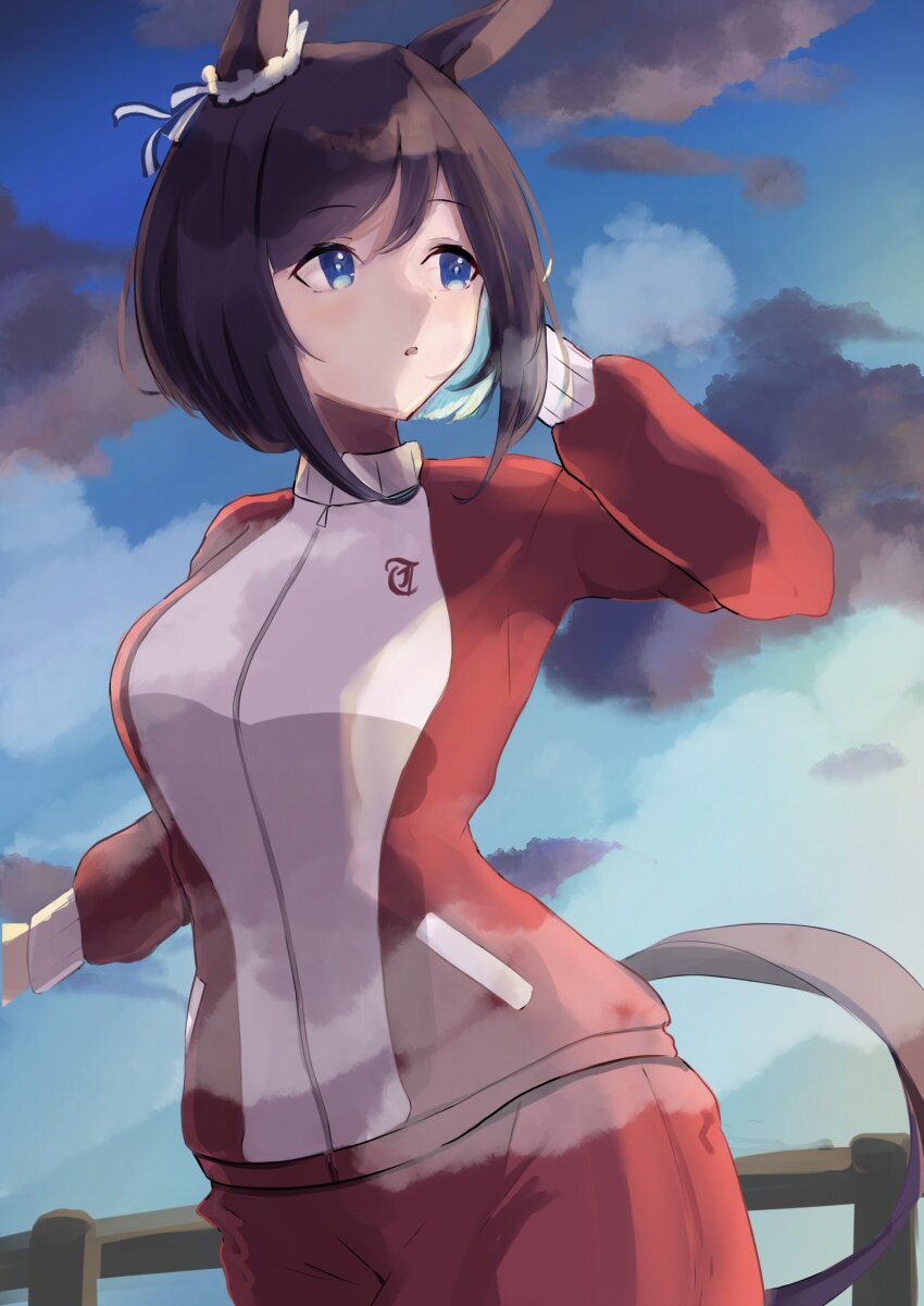 Eishin Flash (Umamusume) Rule 34 Image