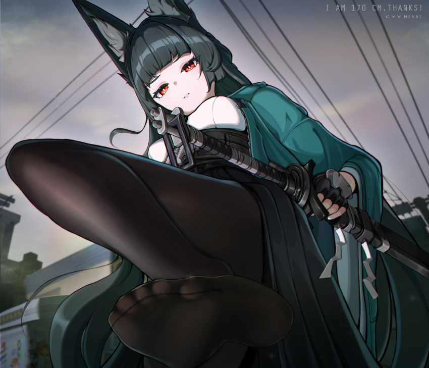 Hoshimi Miyabi (Zenless Zone Zero) Rule 34 Image