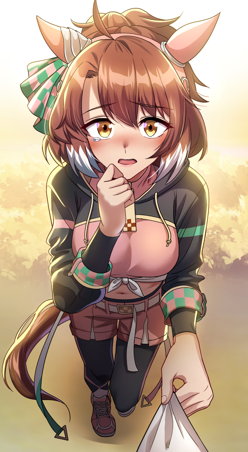 Dantsu Flame (Center Spotlight) (Umamusume) Rule 34 Image