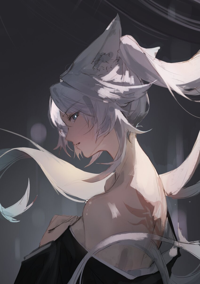 Feixiao (Honkai: Star Rail) Rule 34 Image