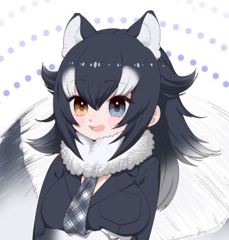 Grey Wolf (Kemono Friends) Rule 34 Image