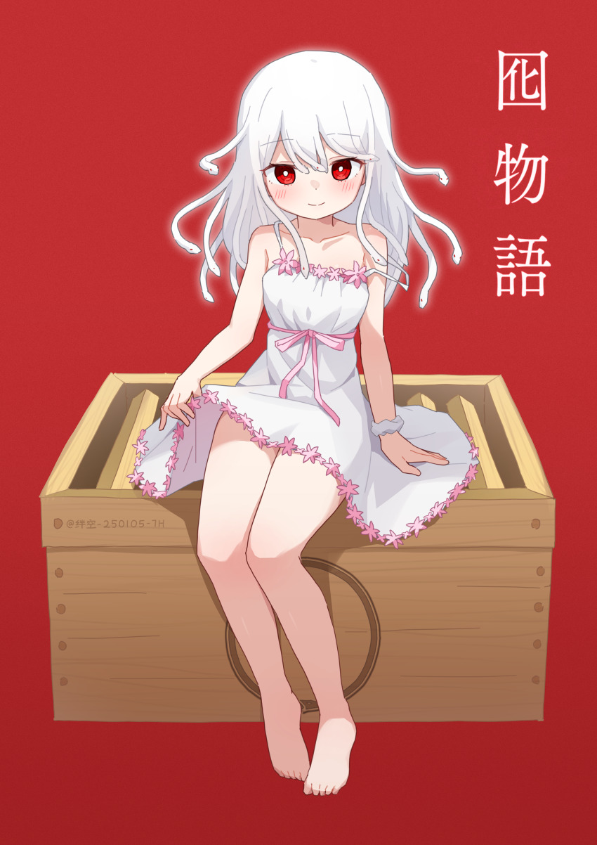 Sengoku Nadeko (Chinese Zodiac) Rule 34 Image