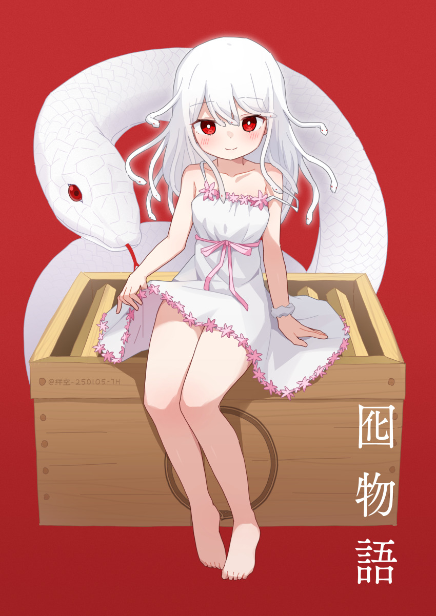Sengoku Nadeko (Chinese Zodiac) Rule 34 Image