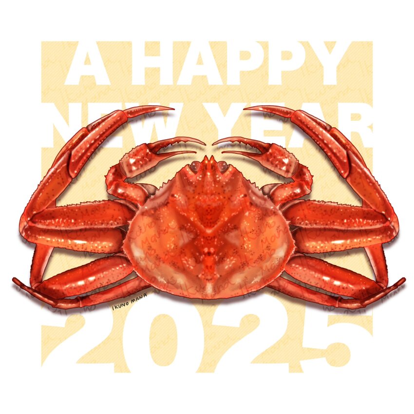 New Year Rule 34 Image