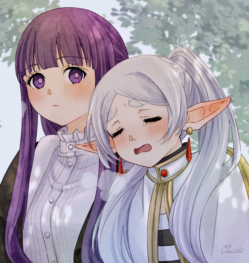 Fern (Sousou No Frieren) Rule 34 Image