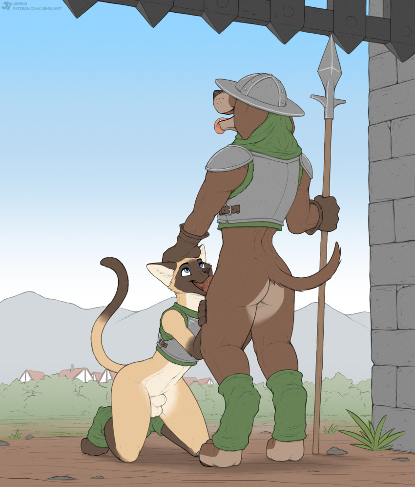 Animal Genitalia Rule 34 Image