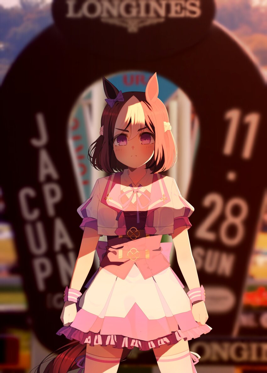 Special Week (Special Dreamer) (Umamusume) Rule 34 Image