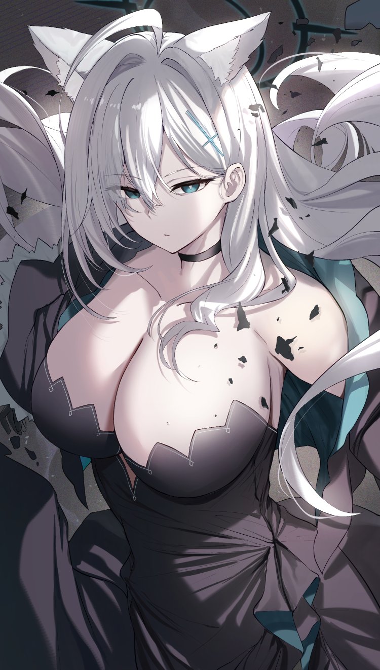 Shiroko Terror (Blue Archive) Rule 34 Image