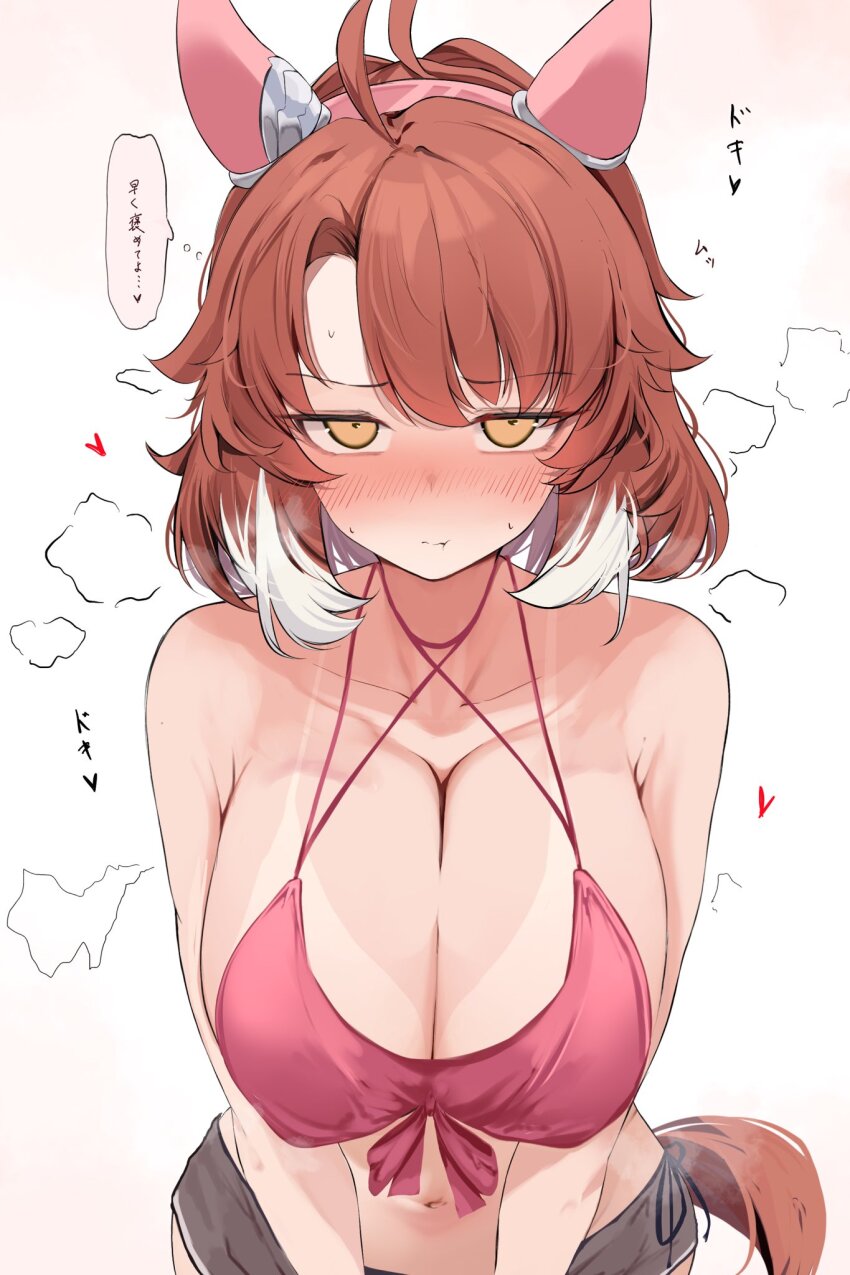 Dantsu Flame (Umamusume) Rule 34 Image