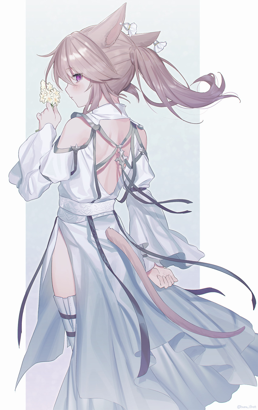 Miqo'Te (Final Fantasy) Rule 34 Image