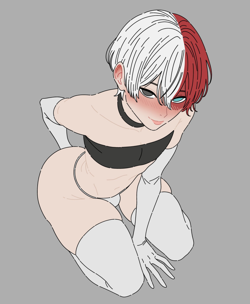 Shouto Todoroki (Boku No Hero Academia) Rule 34 Image