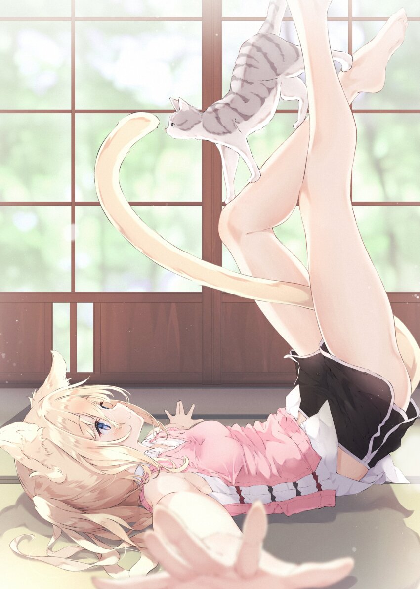 Original Rule 34 Image