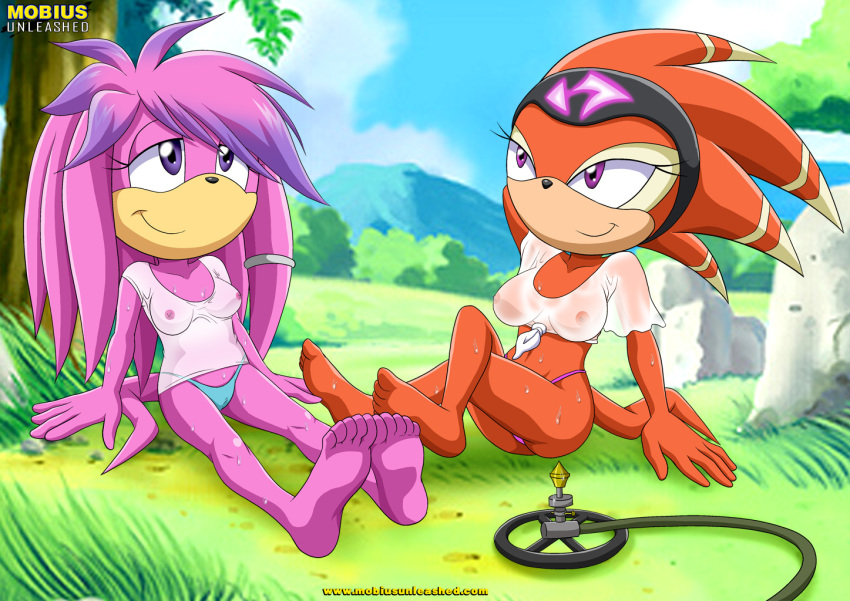 Julie-Su (Sonic (Series)) Rule 34 Image
