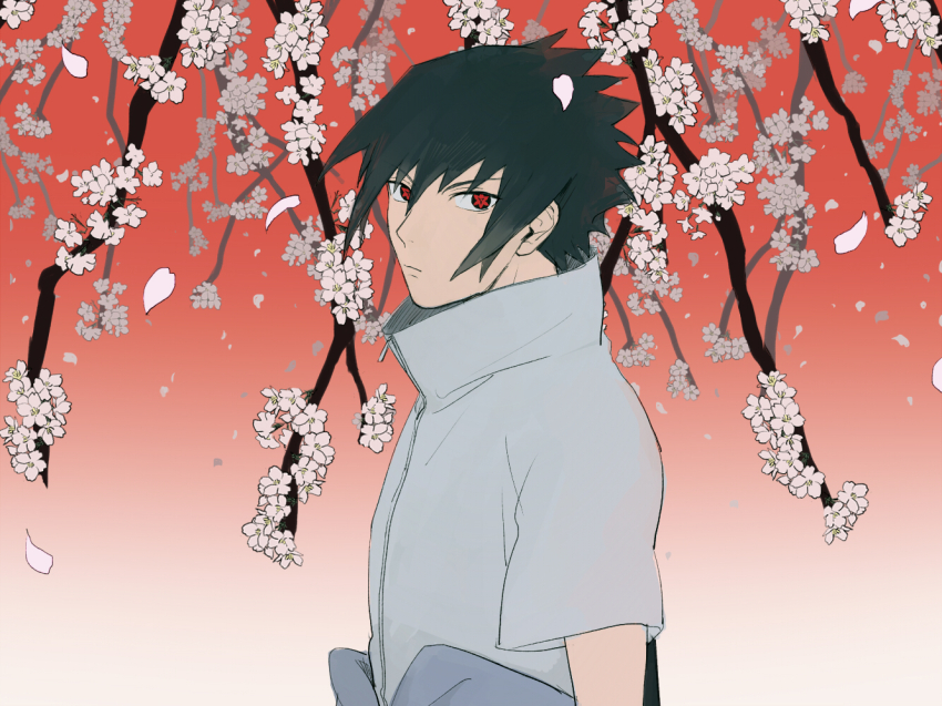 Uchiha Sasuke (Naruto (Series)) Rule 34 Image