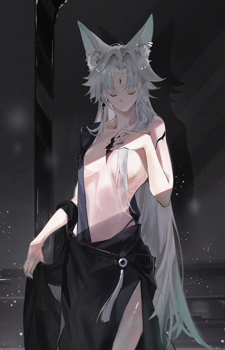 Feixiao (Honkai: Star Rail) Rule 34 Image