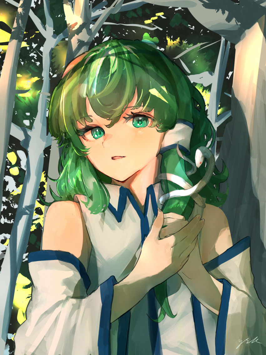 Kochiya Sanae (Touhou) Rule 34 Image