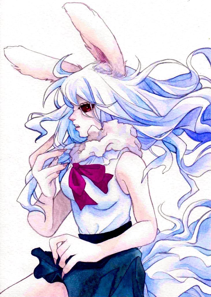 Carrot (One Piece) Rule 34 Image