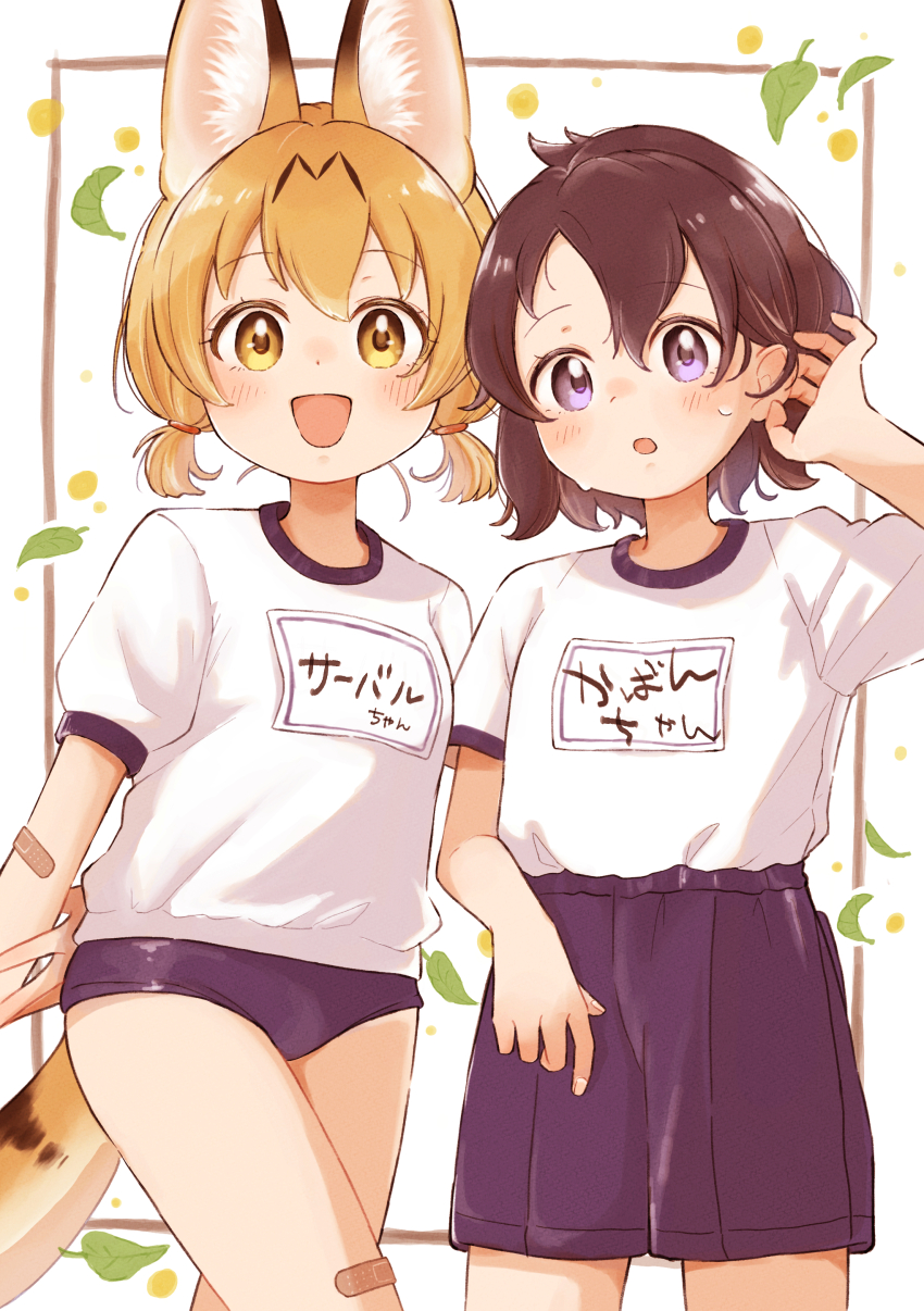 Kaban (Kemono Friends) Rule 34 Image