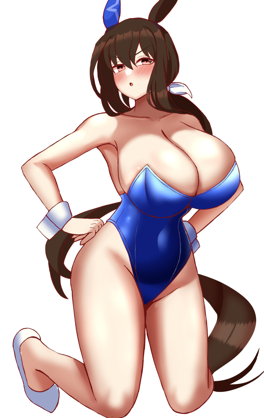 Admire Vega (Umamusume) Rule 34 Image