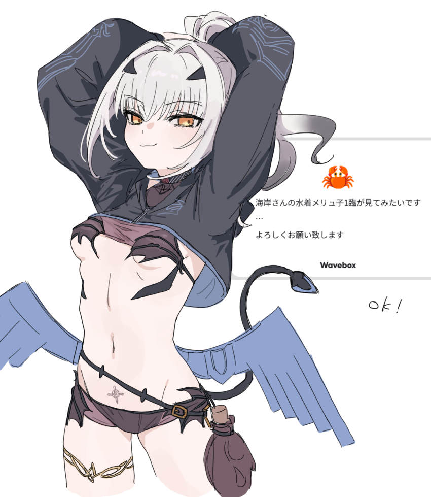 Melusine (Fate) Rule 34 Image