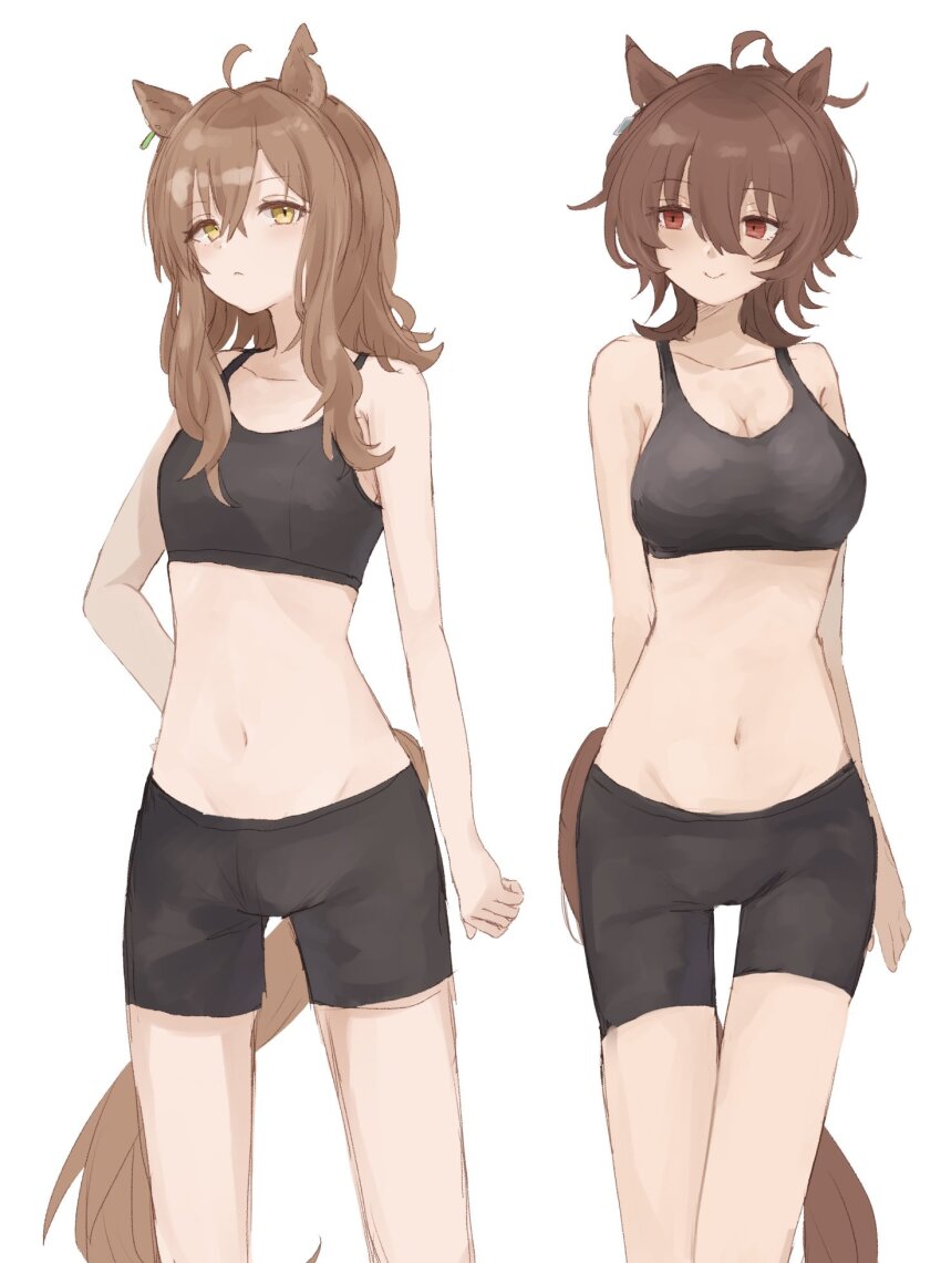Agnes Tachyon (Umamusume) Rule 34 Image