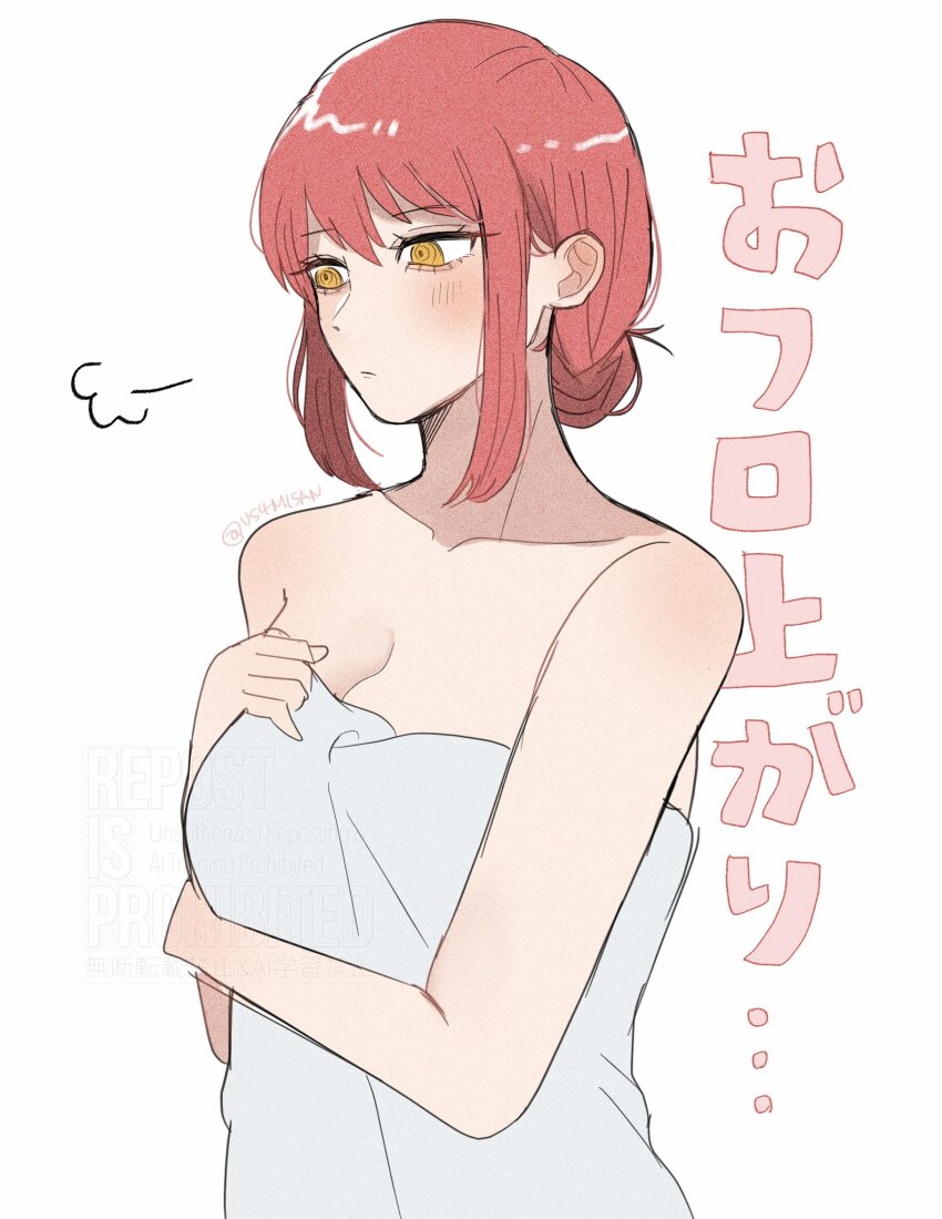 Makima (Chainsaw Man) Rule 34 Image