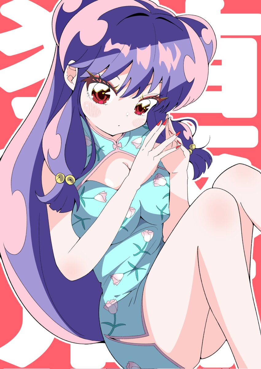 Shampoo (Ranma 1/2) Rule 34 Image