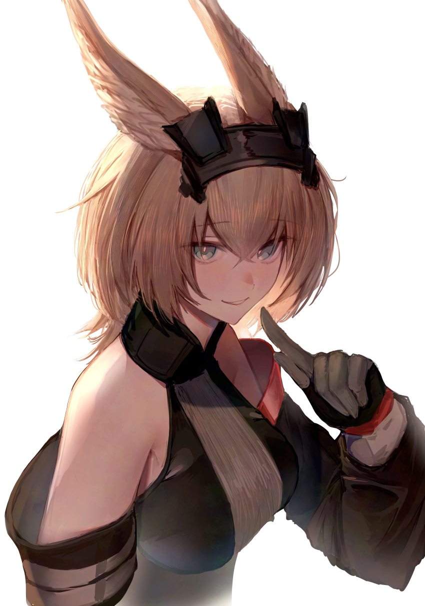 Arknights Rule 34 Image