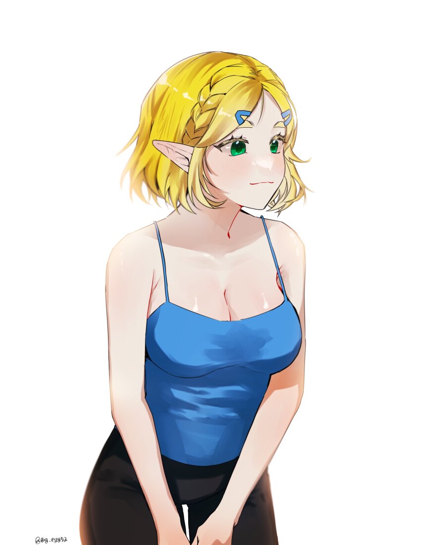 Princess Zelda (Nintendo) Rule 34 Image