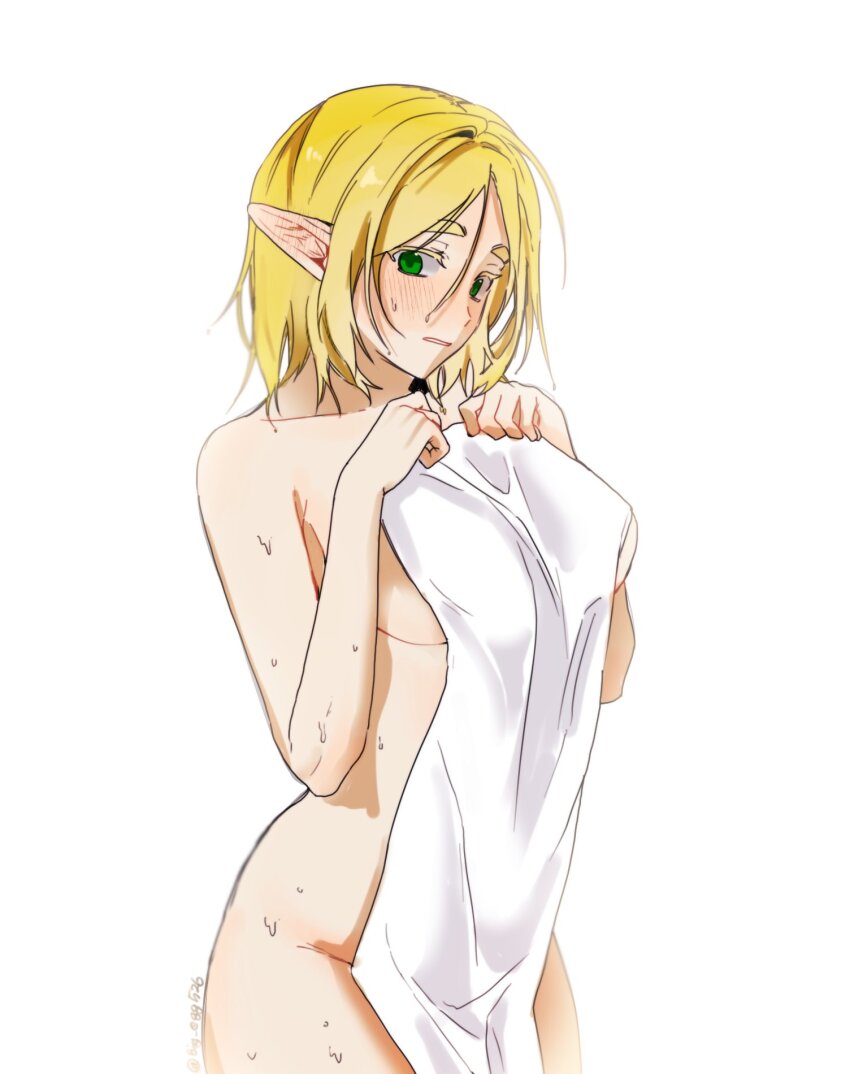 Princess Zelda (Nintendo) Rule 34 Image