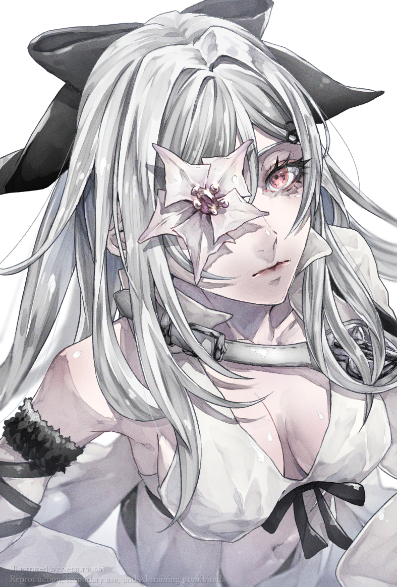 Zero (Drag-On Dragoon) Rule 34 Image