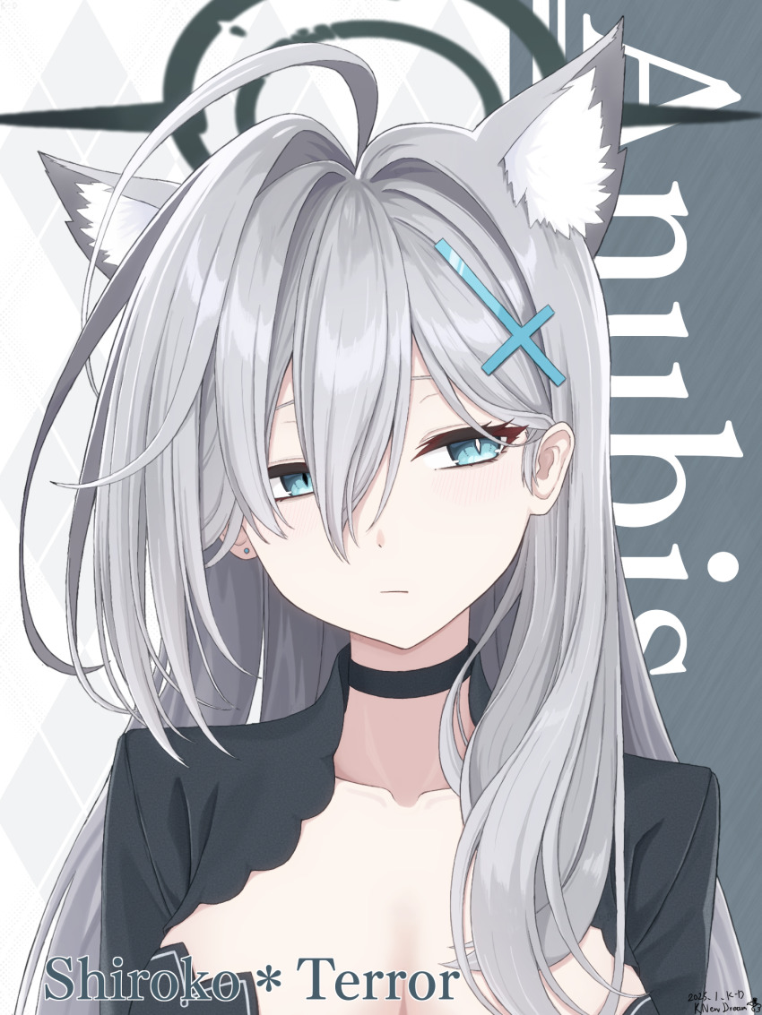 Shiroko Terror (Blue Archive) Rule 34 Image