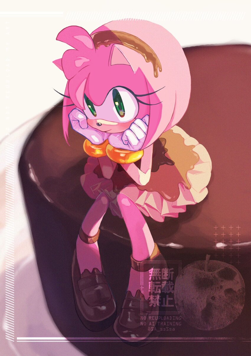 Amy Rose (Sonic (Series)) Rule 34 Image