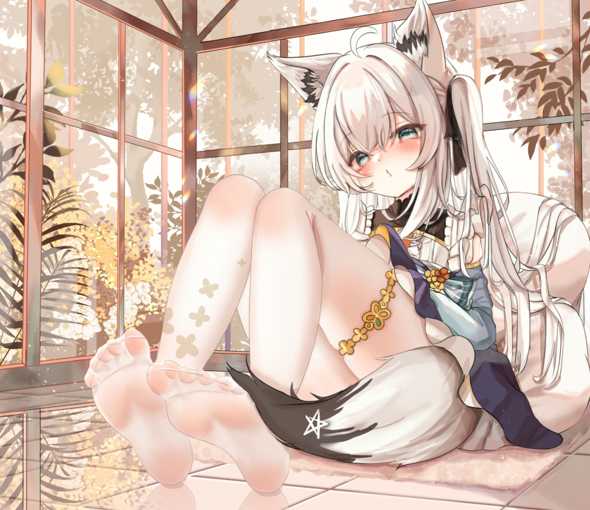 Shirakami Fubuki (Hololive) Rule 34 Image
