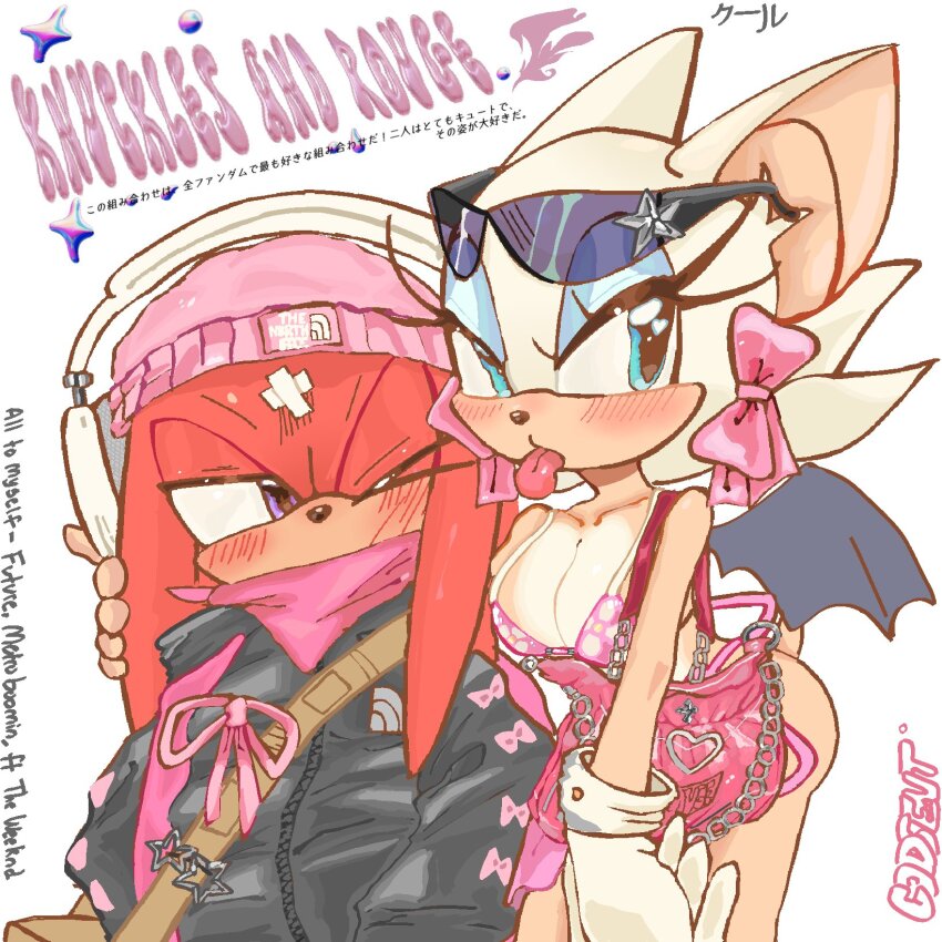Knuckles The Echidna (Sonic (Series)) Rule 34 Image