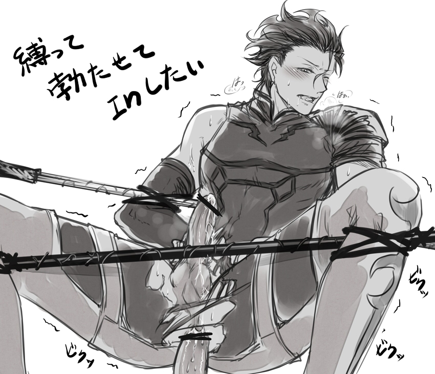 Diarmuid Ua Duibhne (Fate/Zero) Rule 34 Image