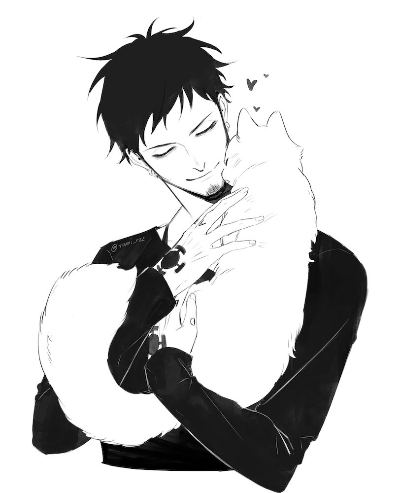 Trafalgar Law (One Piece) Rule 34 Image