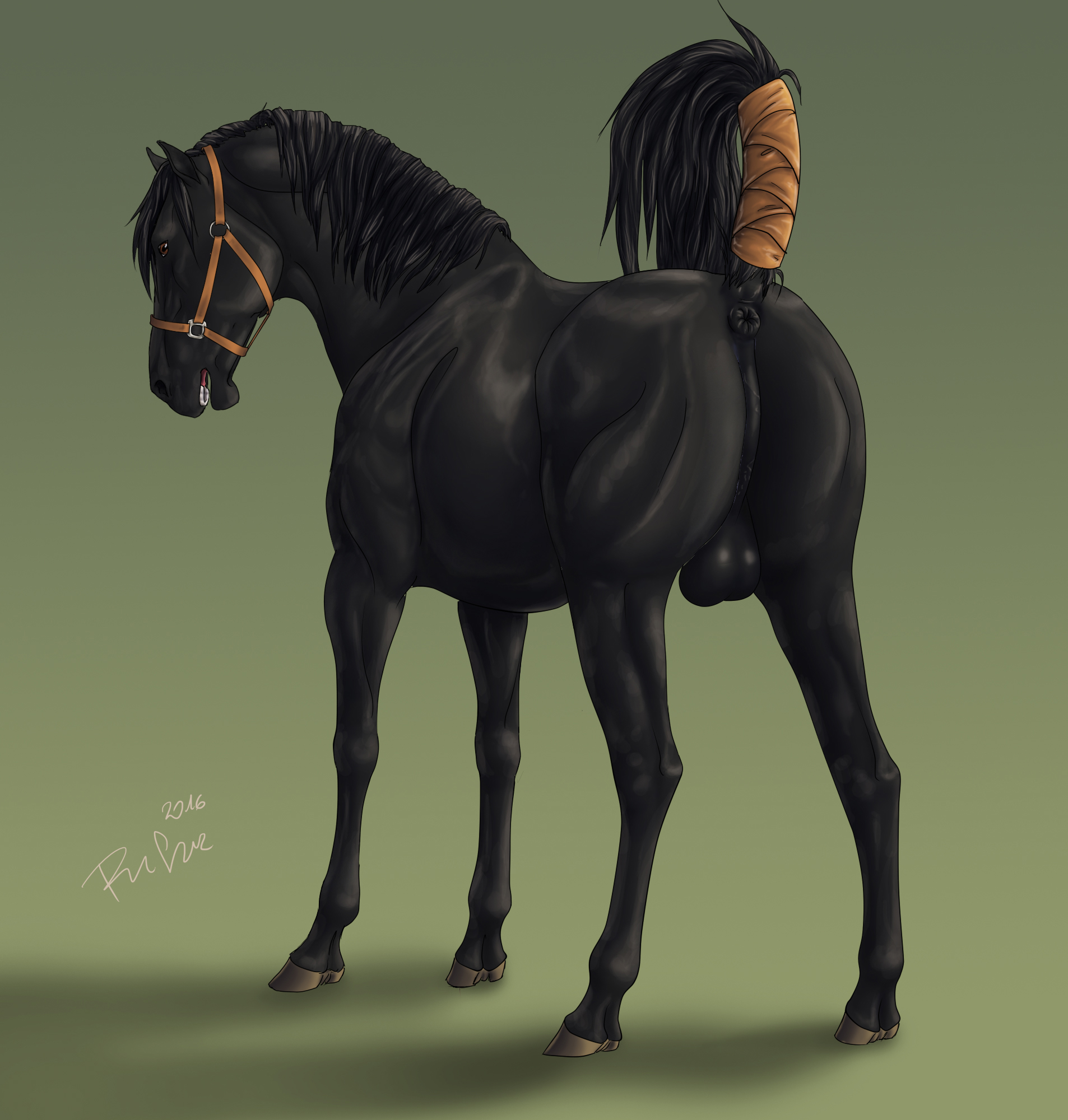 2016 Rule 34 Image