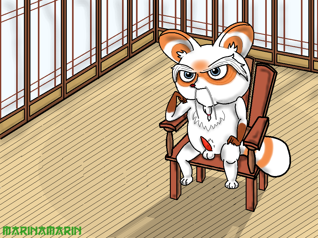 Master Shifu (Dreamworks) Rule 34 Image