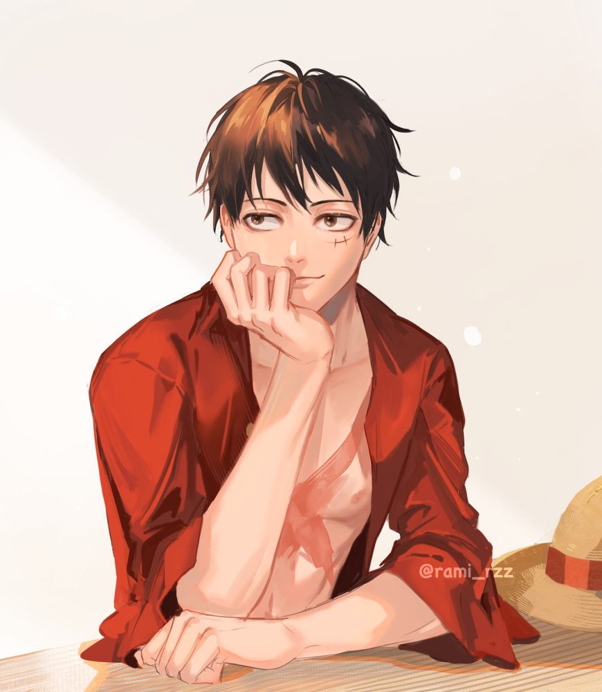 Monkey D. Luffy Rule 34 Image