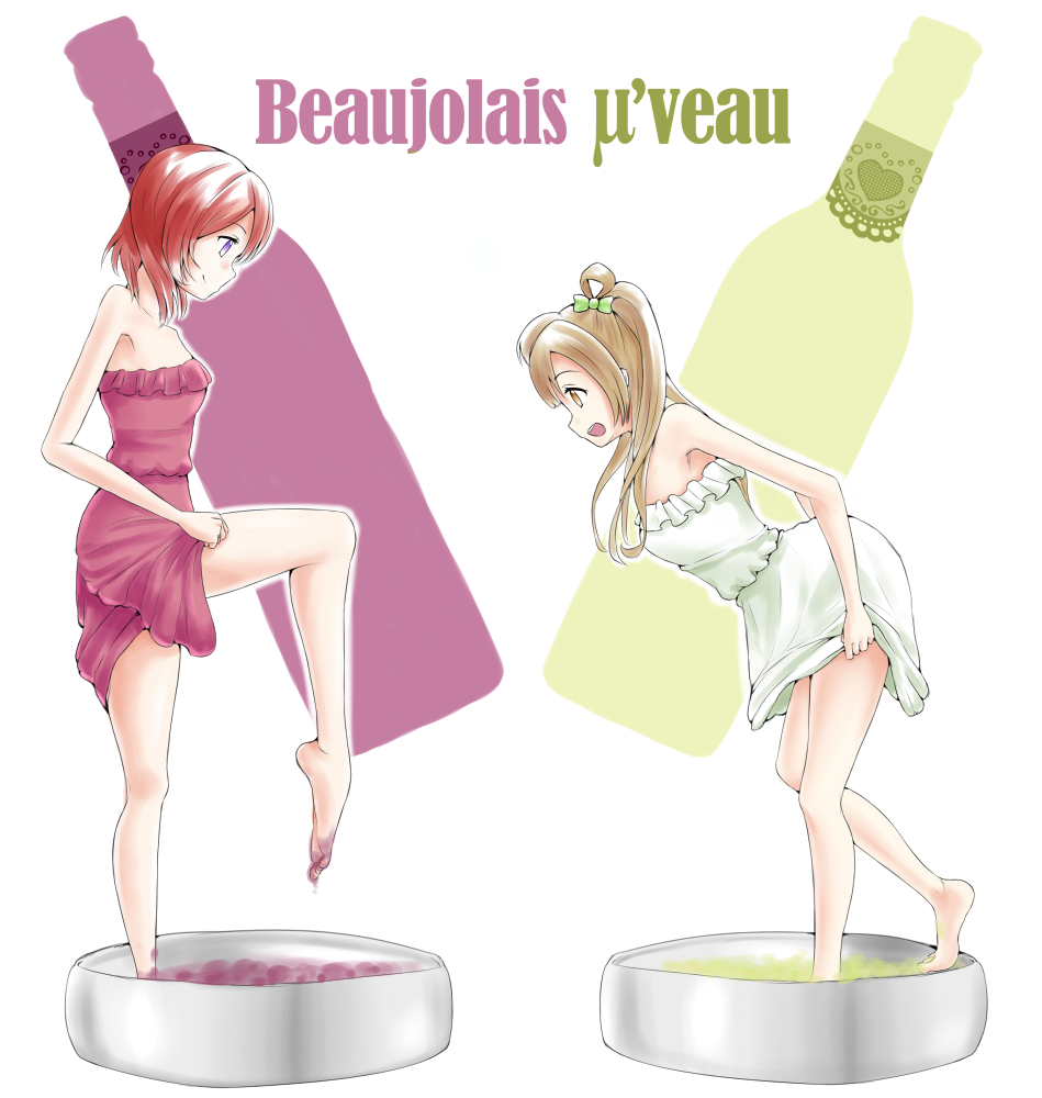 Minami Kotori (Love Live!) Rule 34 Image